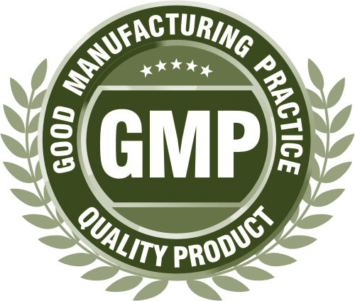 gmp certification in india