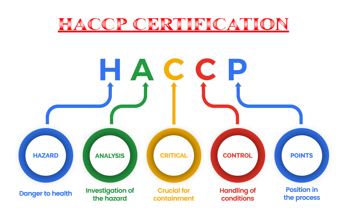 haccp certification in india